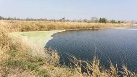 Landfill Leachate Treatment